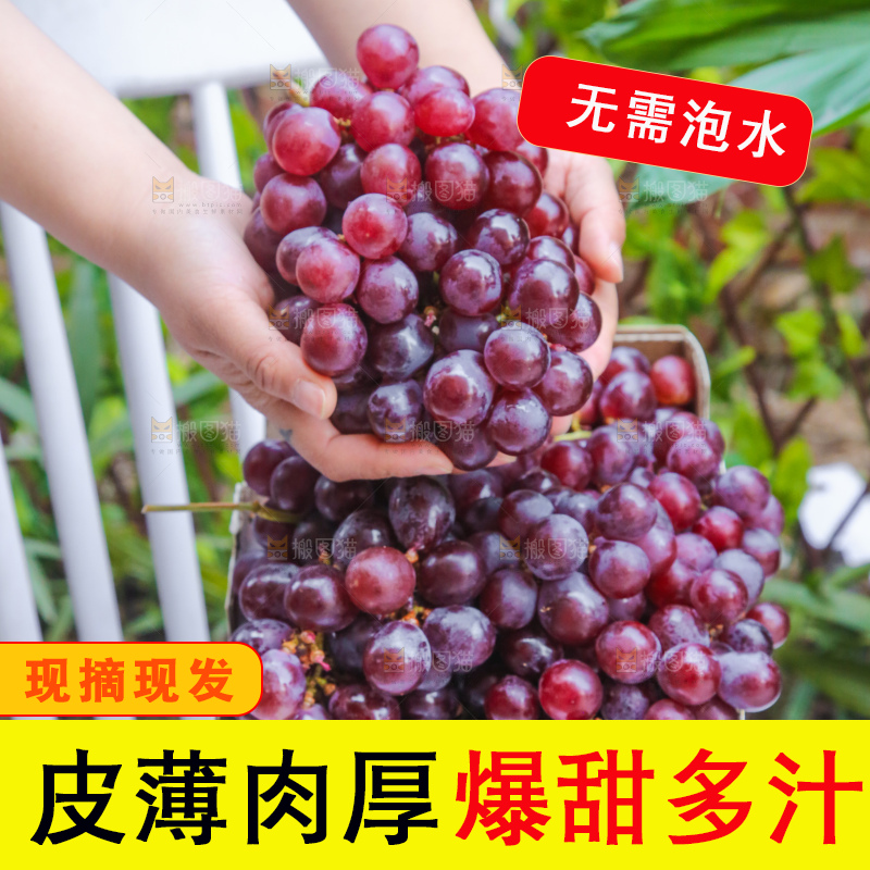 手里拿着新鲜葡萄