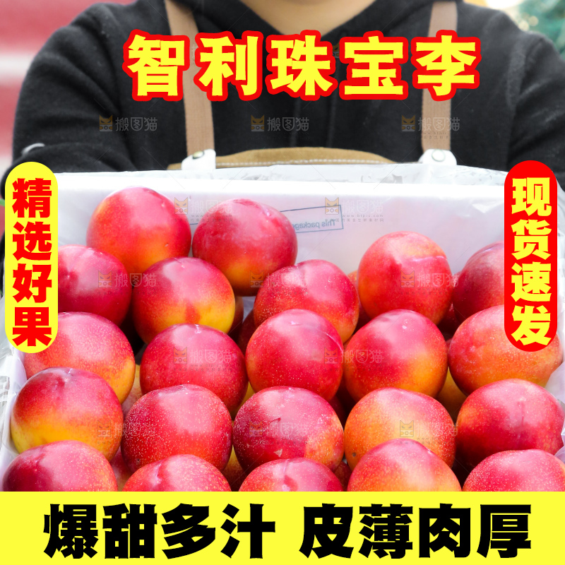 手里拿着珠宝李