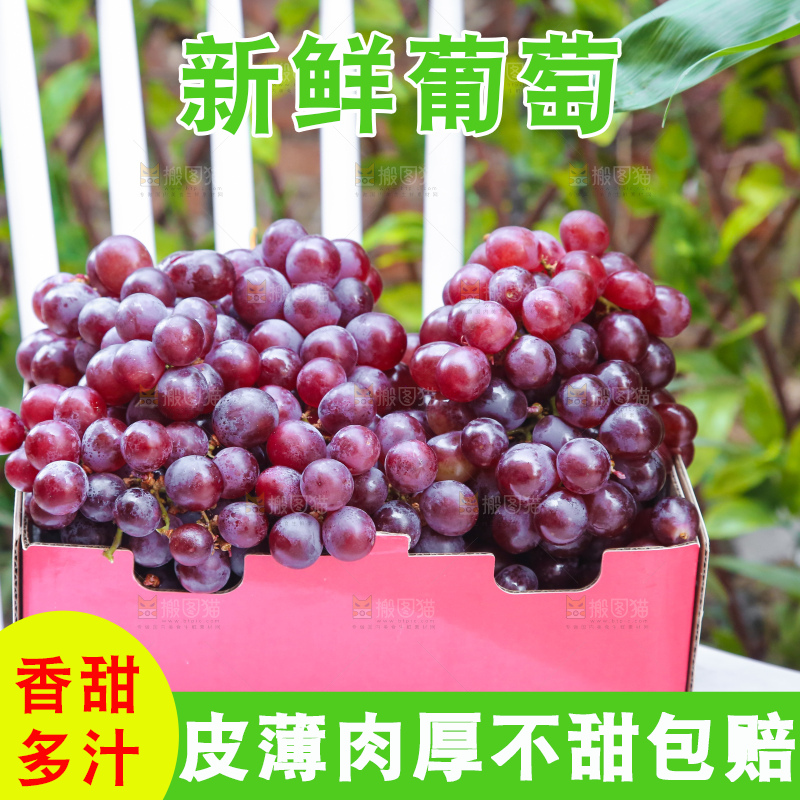 手里拿着新鲜葡萄