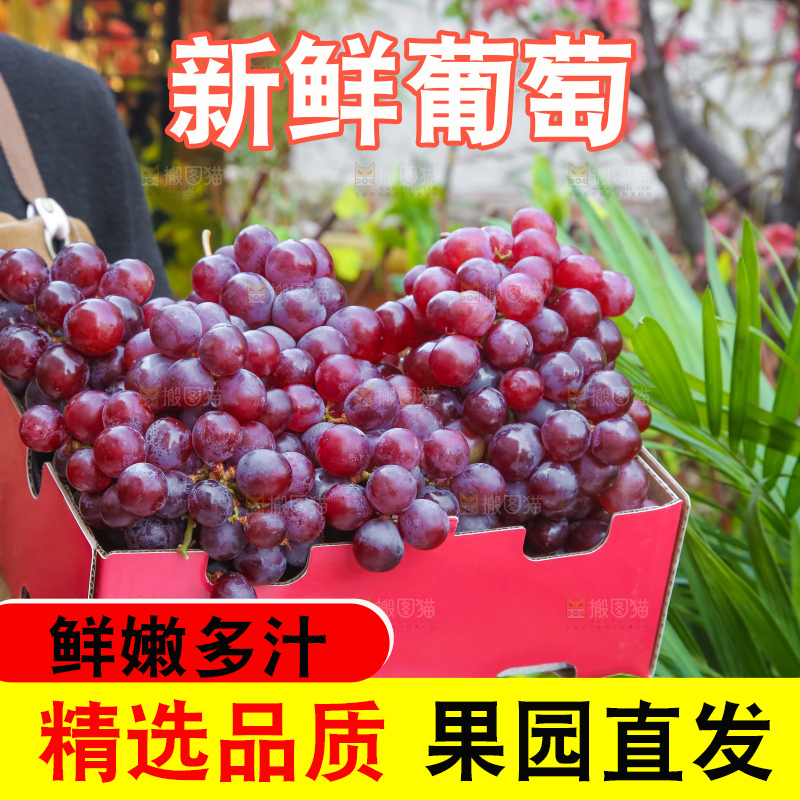 手里拿着新鲜葡萄
