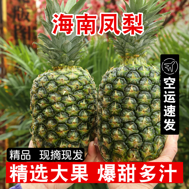 手里拿着新鲜凤梨