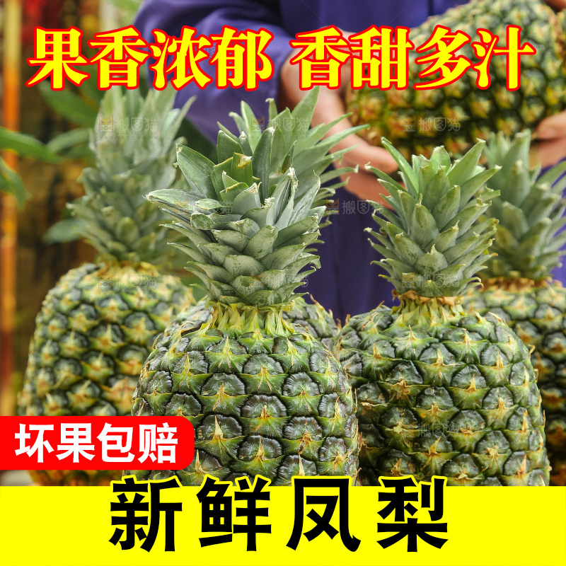 手里拿着新鲜凤梨
