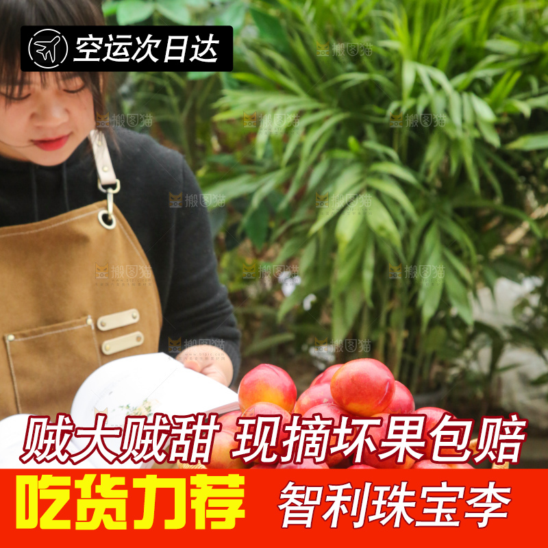 木底上的珠宝李