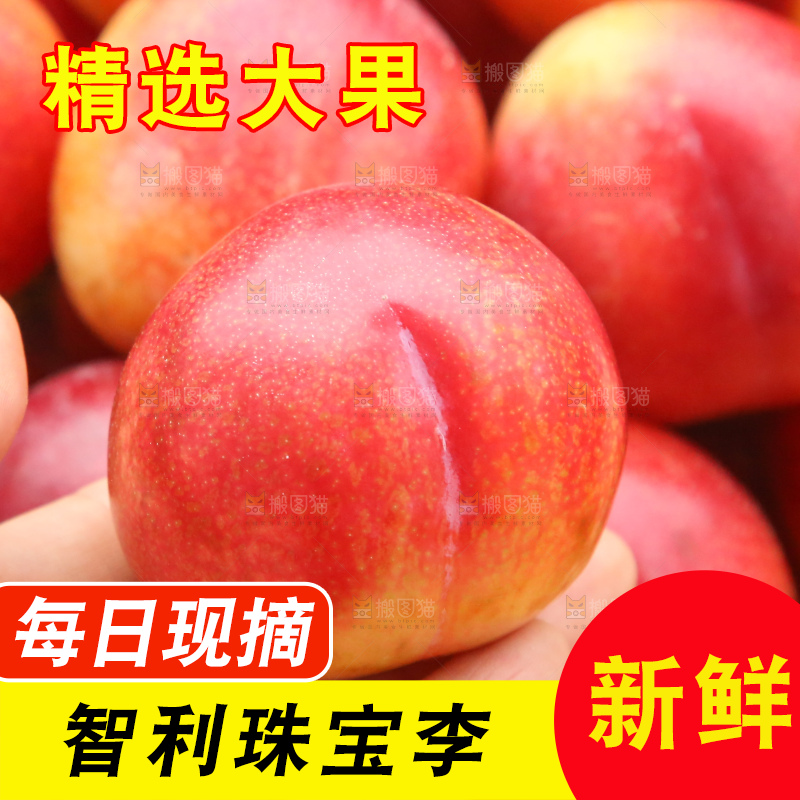 木底上的珠宝李