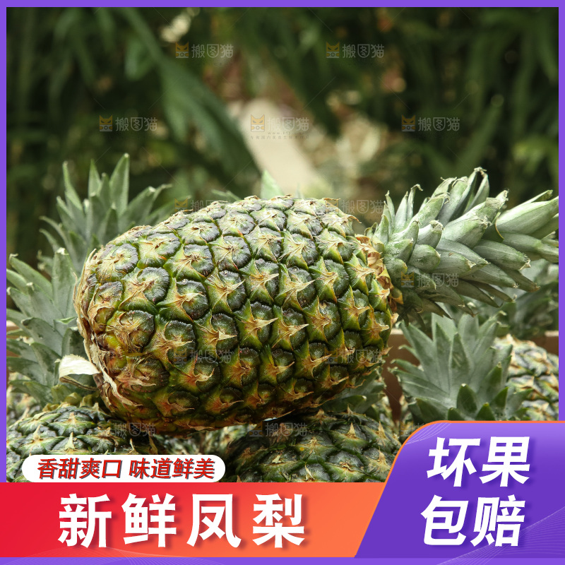 手里拿着新鲜凤梨