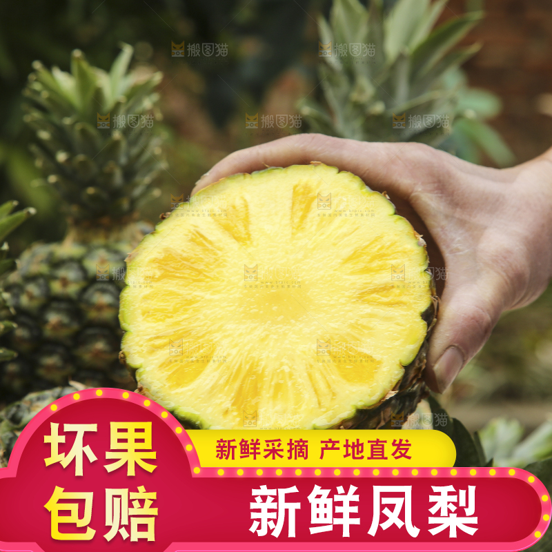 深底上的新鲜凤梨