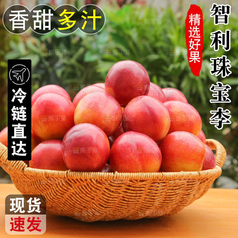 木底上的珠宝李