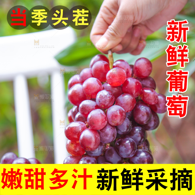 手里拿着新鲜葡萄