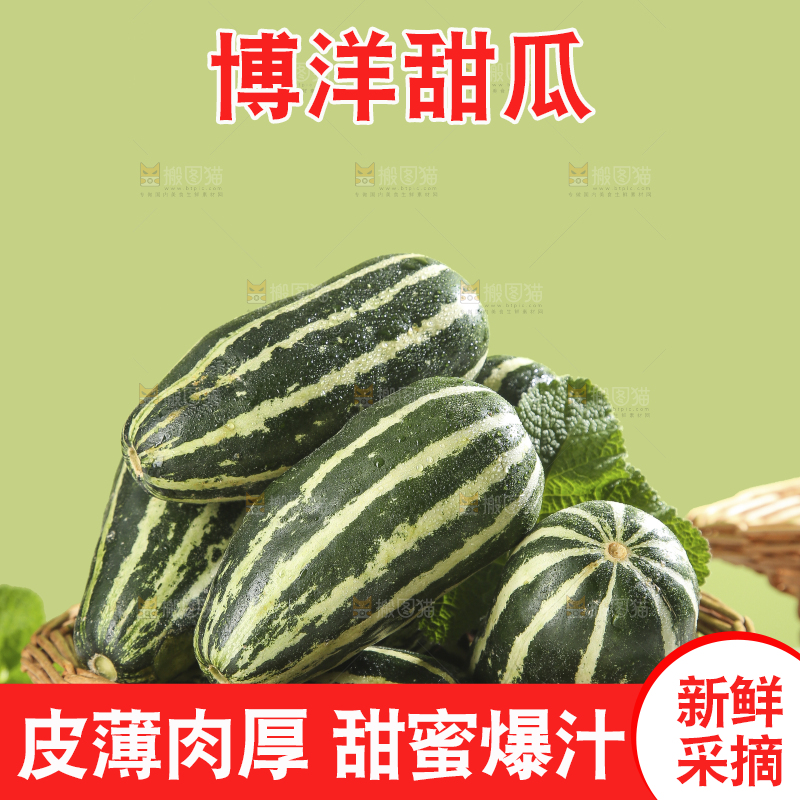 浅底上的博洋9号