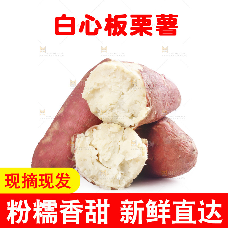 白底放着白心板栗薯