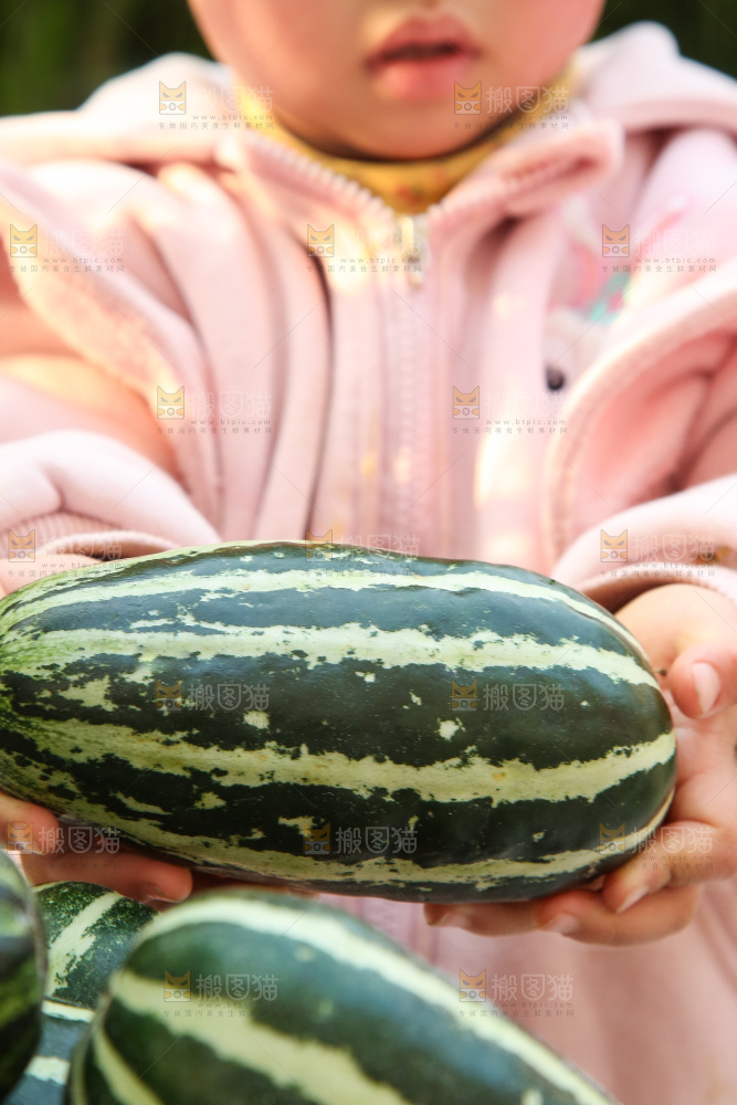 手里拿着博洋9号