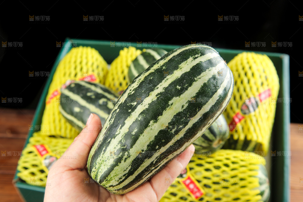 木底上的博洋9号