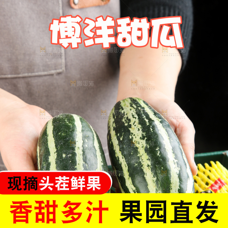 木底上的博洋9号