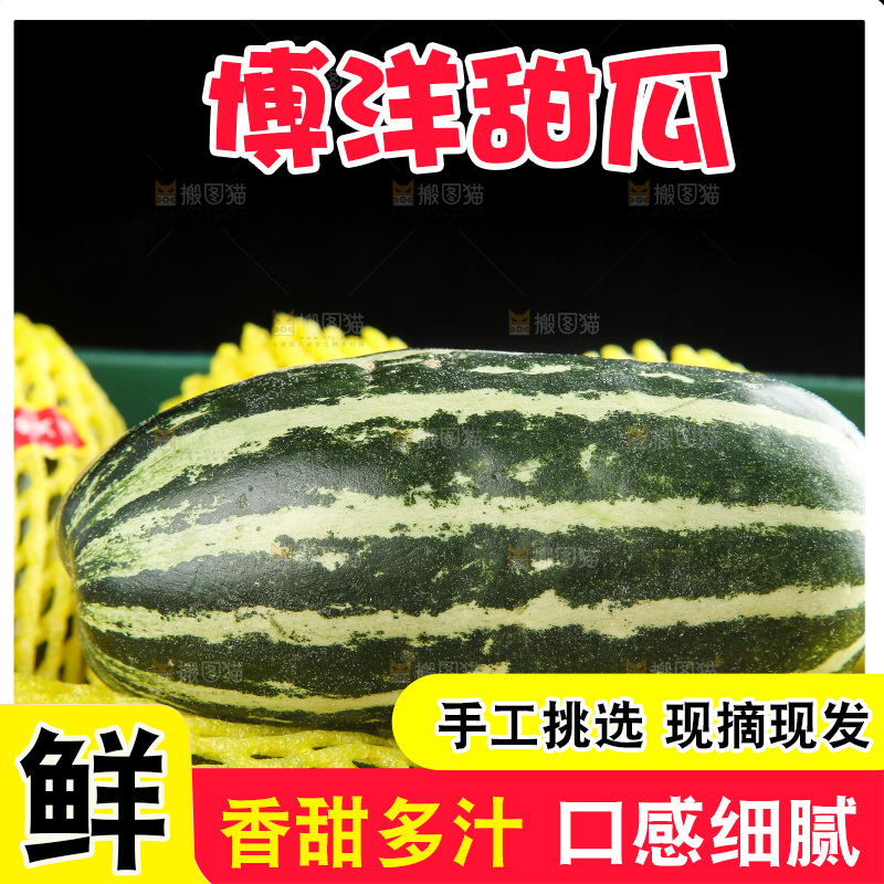 木底上的博洋9号