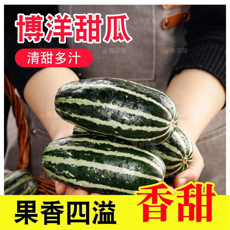 木底上的博洋9号