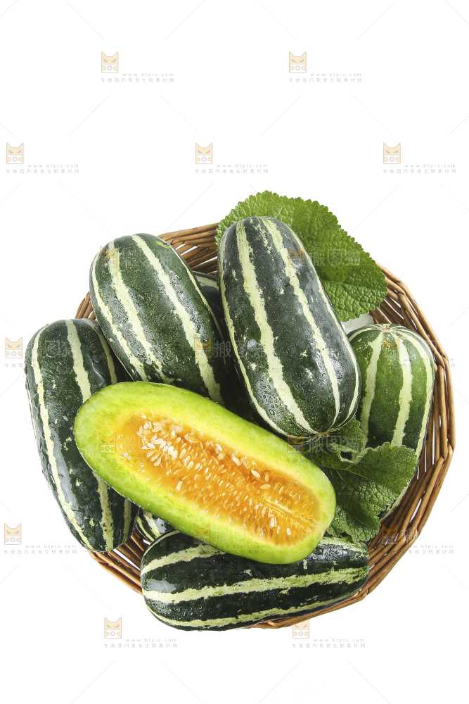 白底上的博洋9号