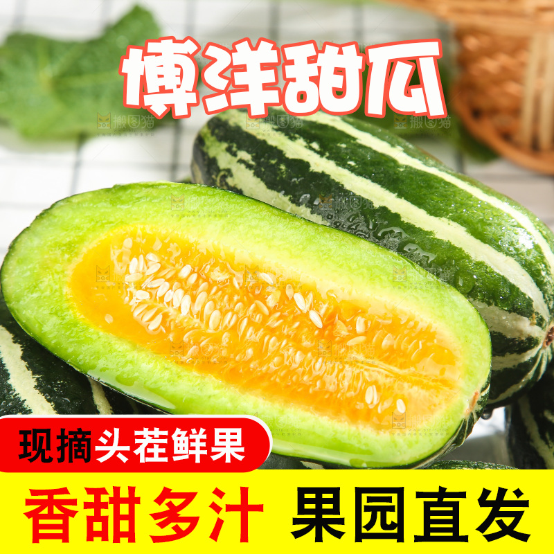 浅底上的博洋9号
