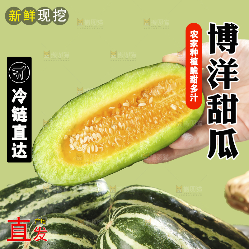 浅底上的博洋9号