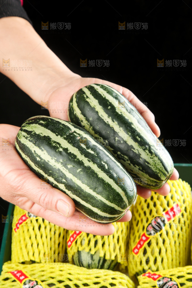 木底上的博洋9号