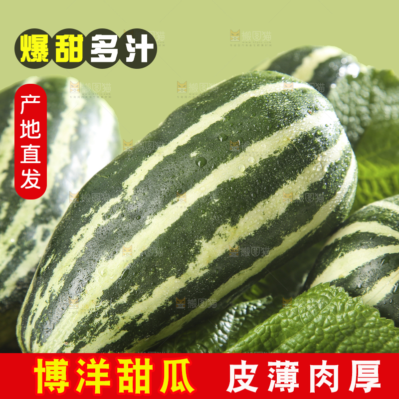 浅底上的博洋9号