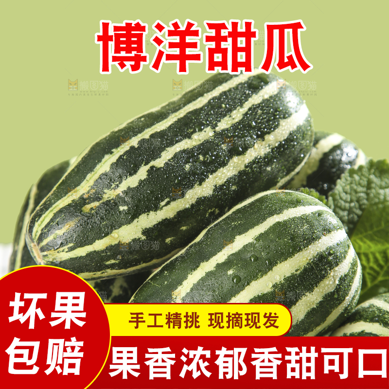 浅底上的博洋9号