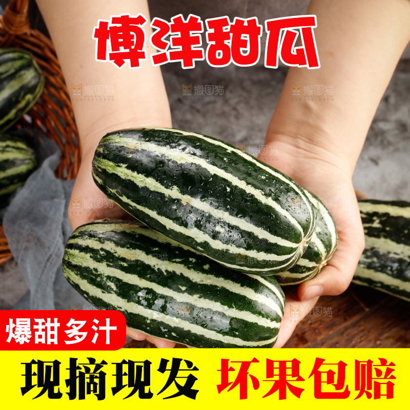 木底上的博洋9号