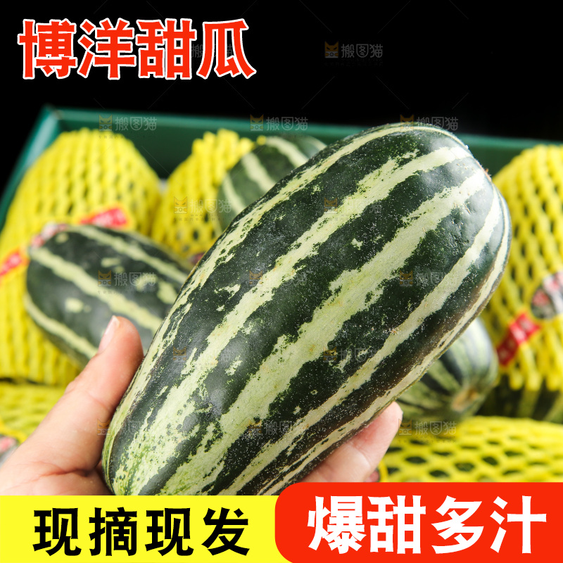 木底上的博洋9号