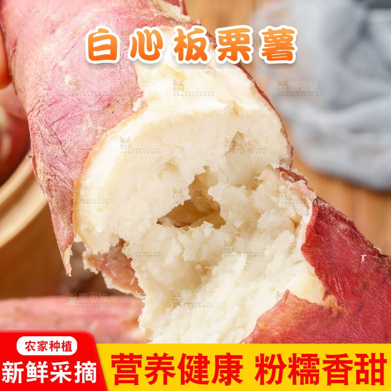 木底上的白心板栗薯