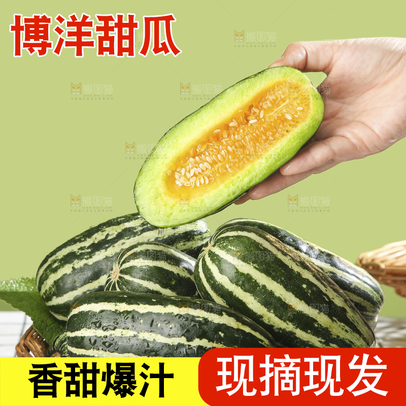 浅底上的博洋9号