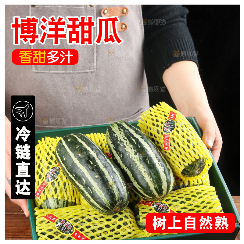 木底上的博洋9号