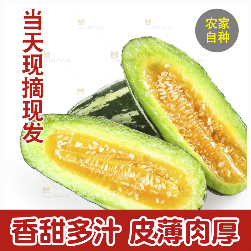 白底上的博洋9号