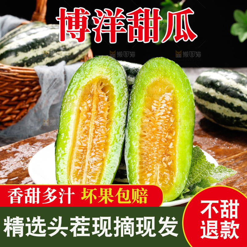 木底上的博洋9号