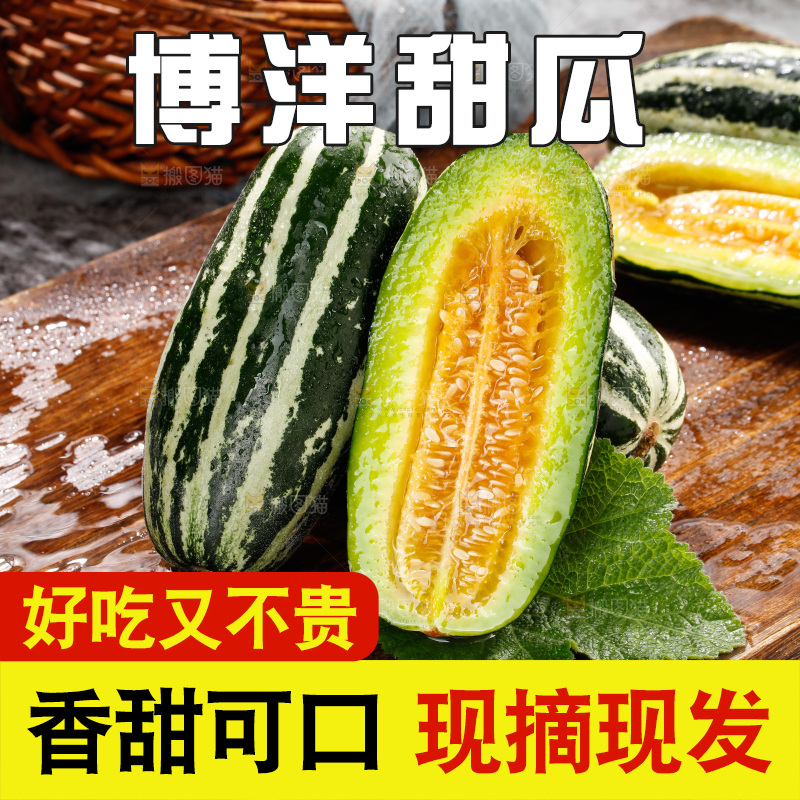 木底上的博洋9号