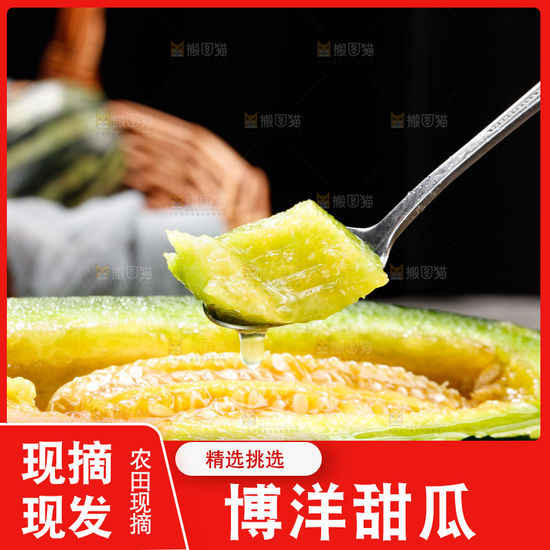 木底上的博洋9号