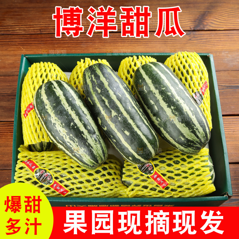 木底上的博洋9号