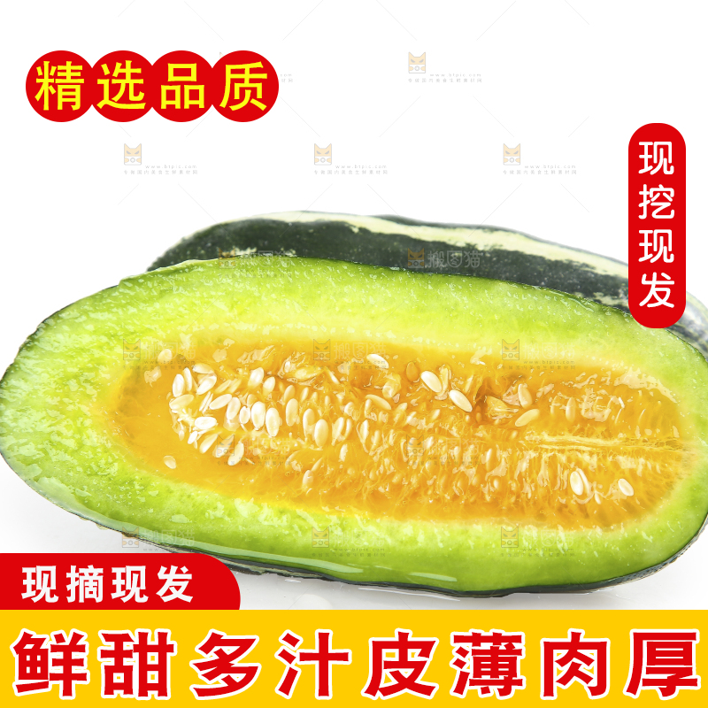 白底上的博洋9号