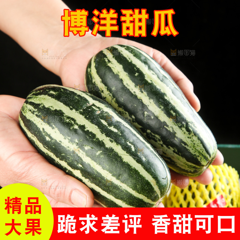 木底上的博洋9号