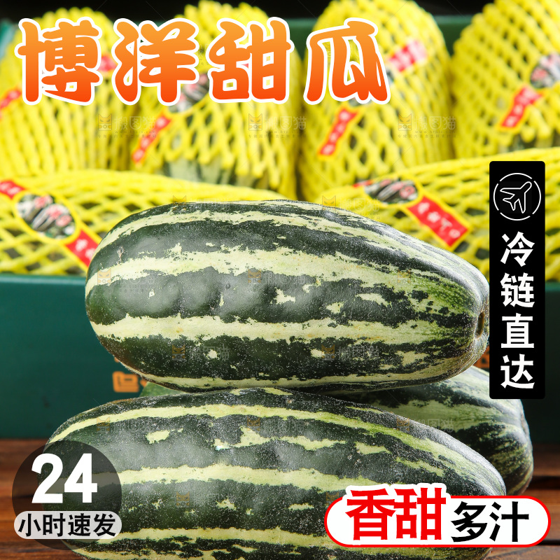 木底上的博洋9号