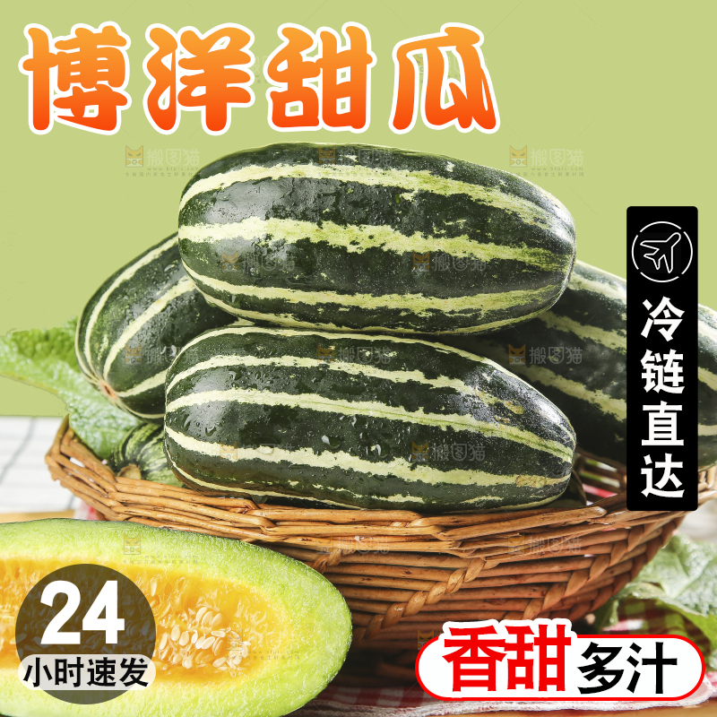 浅底上的博洋9号