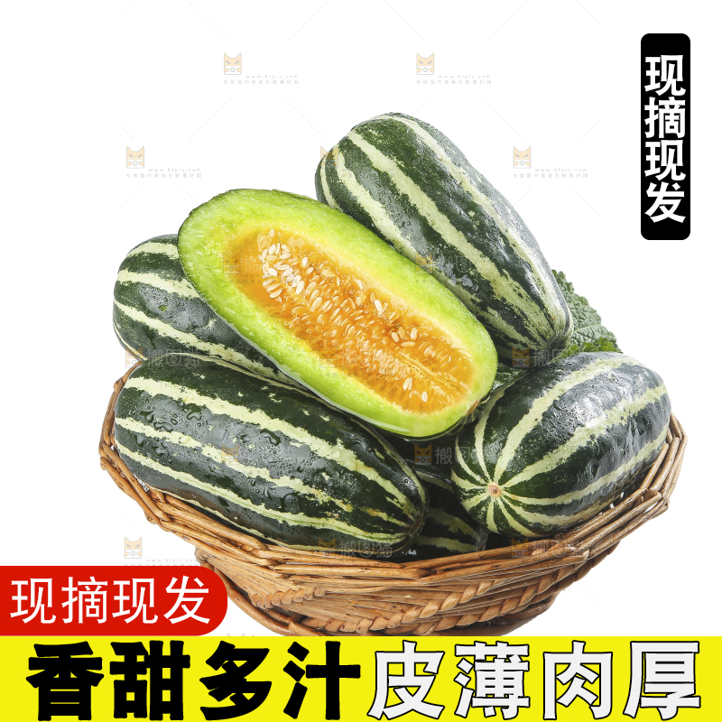 白底上的博洋9号