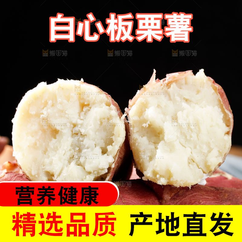 木底上的白心板栗薯
