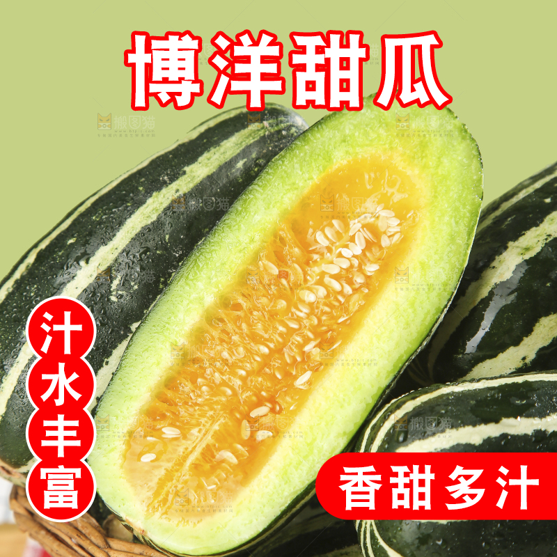 浅底上的博洋9号
