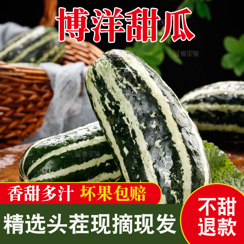 木底上的博洋9号