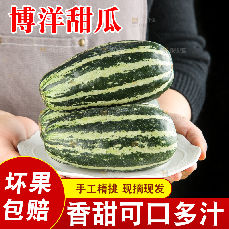 木底上的博洋9号