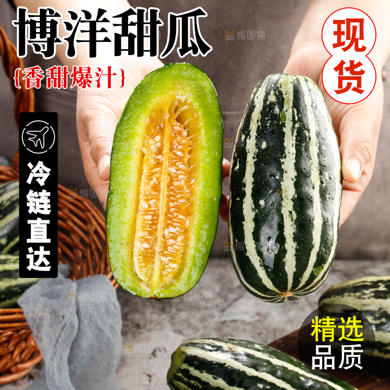木底上的博洋9号