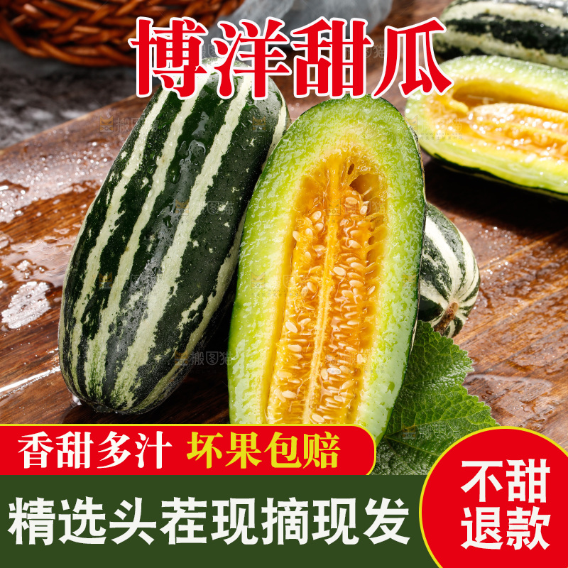 木底上的博洋9号