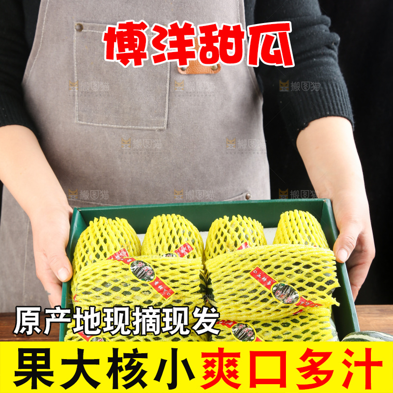 木底上的博洋9号