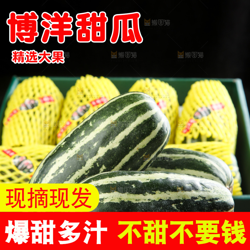 木底上的博洋9号