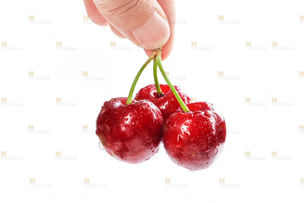 白底上的樱桃