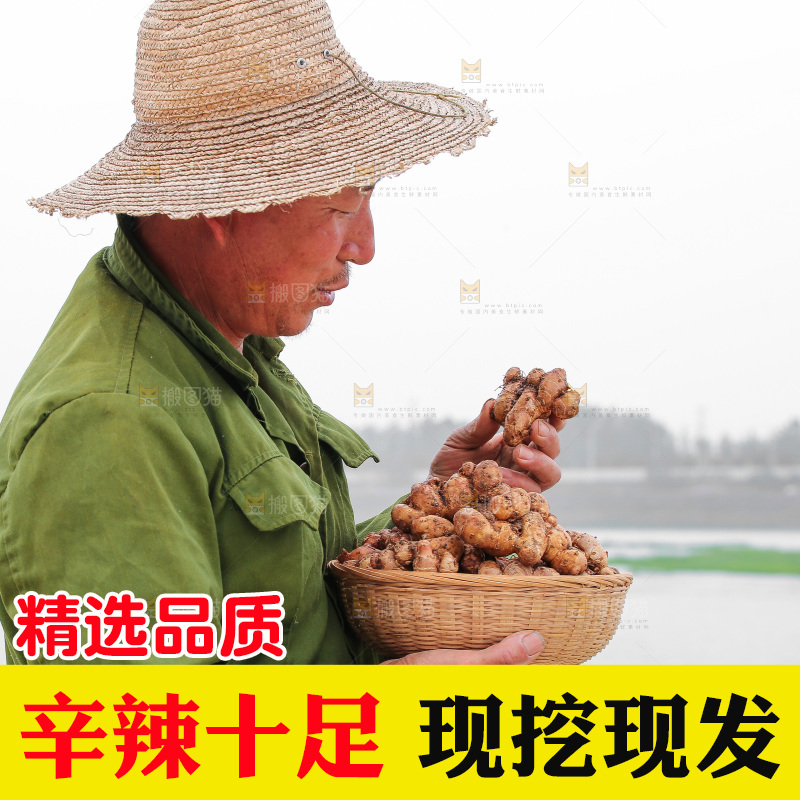 手里拿着沙姜